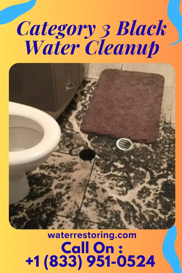 Category 3 Black Water Cleanup in Windsor Heights, WV