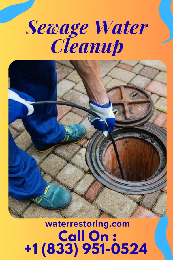 Sewage Water Cleanup in Windsor Heights, WV